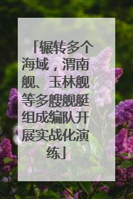 辗转多个海域，渭南舰、玉林舰等多艘舰艇组成编队开展实战化演练