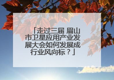 走过三届 眉山市卫星应用产业发展大会如何发展成行业风向标？