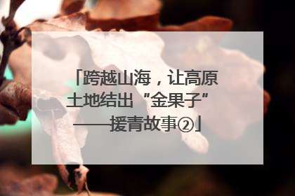 跨越山海，让高原土地结出“金果子”——援青故事②