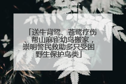 送牛背鹭、苍鹭疗伤、帮山麻雀幼鸟搬家，崇明警民救助多只受困野生保护鸟类