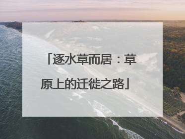 逐水草而居：草原上的迁徙之路