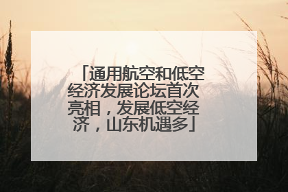 通用航空和低空经济发展论坛首次亮相，发展低空经济，山东机遇多