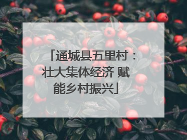 通城县五里村：壮大集体经济 赋能乡村振兴