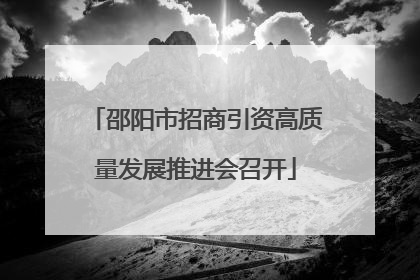 邵阳市招商引资高质量发展推进会召开
