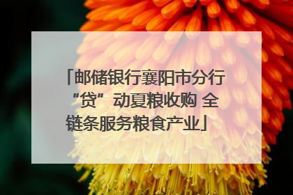 邮储银行襄阳市分行“贷”动夏粮收购 全链条服务粮食产业