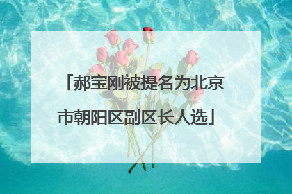 郝宝刚被提名为北京市朝阳区副区长人选