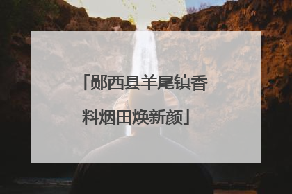 郧西县羊尾镇香料烟田焕新颜