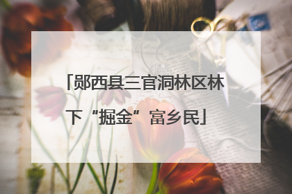 郧西县三官洞林区林下“掘金”富乡民