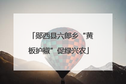 郧西县六郎乡“黄板护椒”促绿兴农