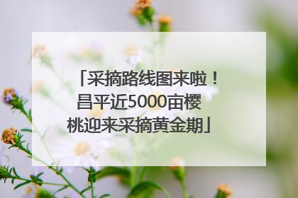 采摘路线图来啦！昌平近5000亩樱桃迎来采摘黄金期