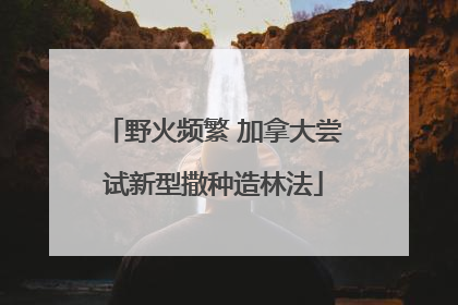 野火频繁 加拿大尝试新型撒种造林法