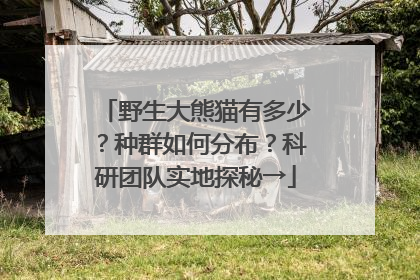 野生大熊猫有多少？种群如何分布？科研团队实地探秘→