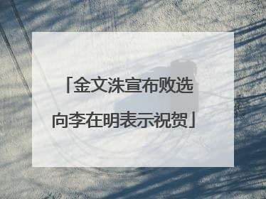 金文洙宣布败选 向李在明表示祝贺