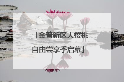 金普新区大樱桃自由尝享季启幕
