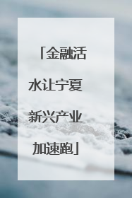 金融活水让宁夏新兴产业加速跑