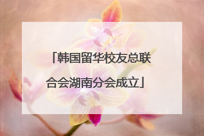 韩国留华校友总联合会湖南分会成立