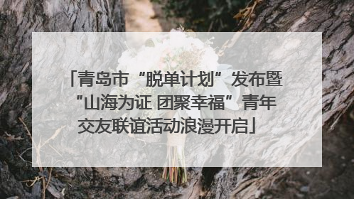 青岛市“脱单计划”发布暨“山海为证 团聚幸福”青年交友联谊活动浪漫开启