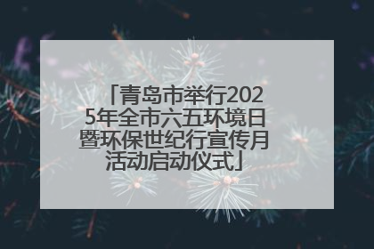 青岛市举行2025年全市六五环境日暨环保世纪行宣传月活动启动仪式