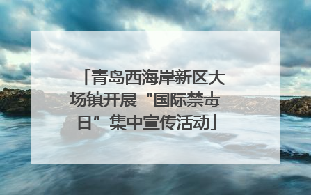 青岛西海岸新区大场镇开展“国际禁毒日”集中宣传活动