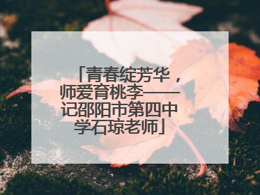 青春绽芳华，师爱育桃李——记邵阳市第四中学石琼老师