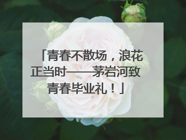 青春不散场，浪花正当时——茅岩河致青春毕业礼！
