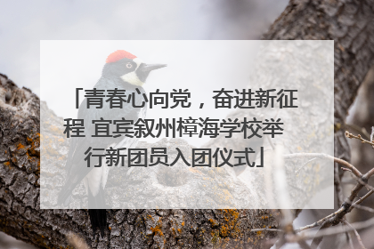青春心向党，奋进新征程 宜宾叙州樟海学校举行新团员入团仪式