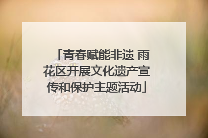 青春赋能非遗 雨花区开展文化遗产宣传和保护主题活动