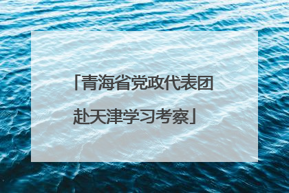 青海省党政代表团赴天津学习考察