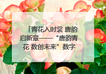 青花入时裳 唐韵启新章——“唐韵青花 数创未来”数字文创设计大赛启幕