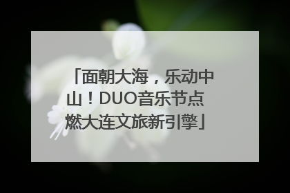 面朝大海，乐动中山！DUO音乐节点燃大连文旅新引擎