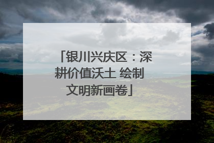 银川兴庆区：深耕价值沃土 绘制文明新画卷