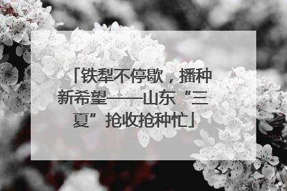 铁犁不停歇，播种新希望——山东“三夏”抢收抢种忙