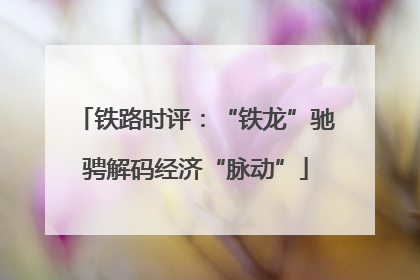 铁路时评：“铁龙”驰骋解码经济“脉动”