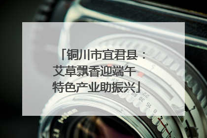 铜川市宜君县：艾草飘香迎端午 特色产业助振兴