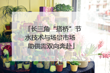 长三角“搭桥”节水技术与场景市场 助供需双向奔赴