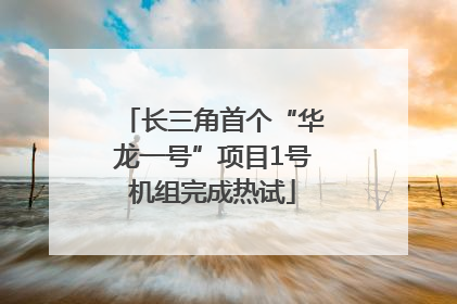 长三角首个“华龙一号”项目1号机组完成热试
