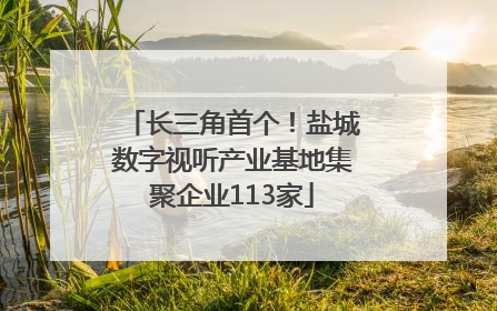 长三角首个！盐城数字视听产业基地集聚企业113家