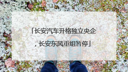 长安汽车升格独立央企，长安东风重组暂停