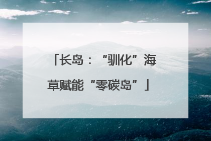 长岛：“驯化”海草赋能“零碳岛”