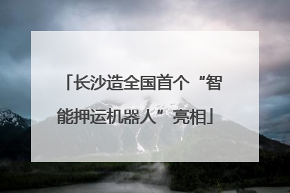 长沙造全国首个“智能押运机器人”亮相