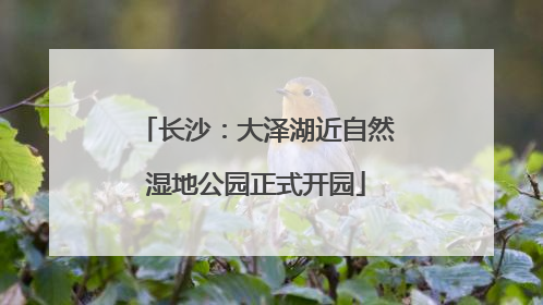 长沙：大泽湖近自然湿地公园正式开园