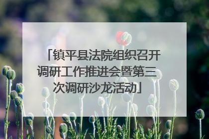 镇平县法院组织召开调研工作推进会暨第三次调研沙龙活动