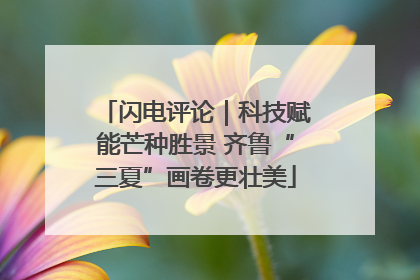 闪电评论｜科技赋能芒种胜景 齐鲁“三夏”画卷更壮美