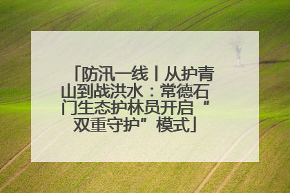 防汛一线丨从护青山到战洪水：常德石门生态护林员开启“双重守护”模式