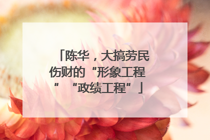 陈华，大搞劳民伤财的“形象工程”“政绩工程”