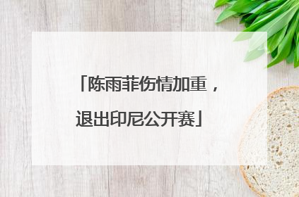 陈雨菲伤情加重，退出印尼公开赛
