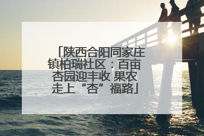 陕西合阳同家庄镇柏瑞社区：百亩杏园迎丰收 果农走上“杏”福路