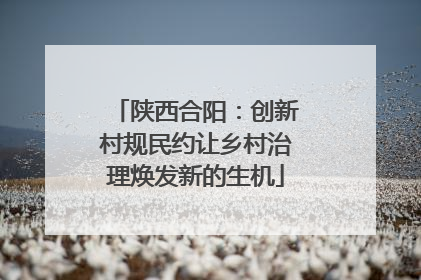 陕西合阳：创新村规民约让乡村治理焕发新的生机