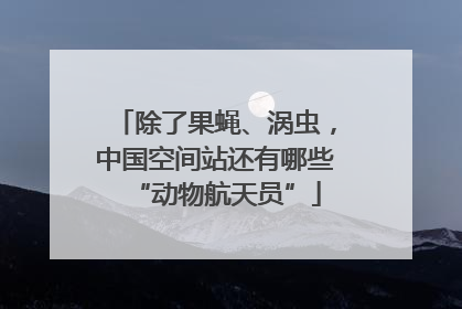 除了果蝇、涡虫，中国空间站还有哪些“动物航天员”