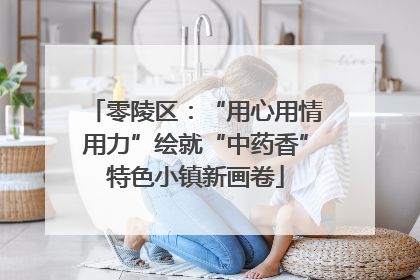 零陵区：“用心用情用力”绘就“中药香”特色小镇新画卷